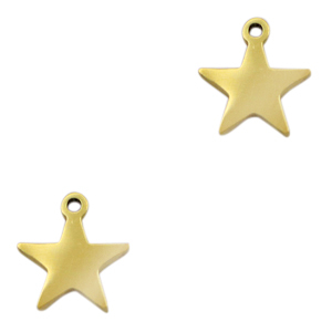 Anh&auml;nger aus Stainless Steel - Rostfreiem Stahl Star Gold
