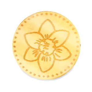 Cabochons Plexx 20mm Geburtsblume Dezember-Narzisse Gold