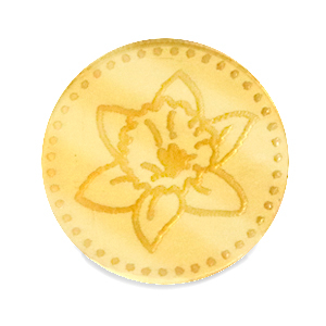 Cabochons Plexx 20mm Geburtsblume M&auml;rz-Osterglocke Gold