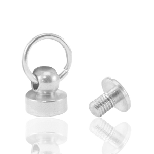 Schraubnieten f&uuml;r Handyh&uuml;llen Silver