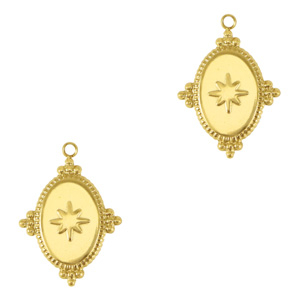 Anh&auml;nger aus Stainless Steel - Rostfreiem Stahl oval Star Gold