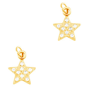 Anh&auml;nger aus Stainless Steel - Rostfreiem Stahl Star Gold