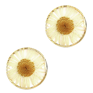 Getrocknete Blumen Zwischenst&uuml;cke 20mm Gold-beige