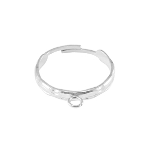 Stainless Steel - Rostfrei Stahl Ringe mit &Ouml;se Silber