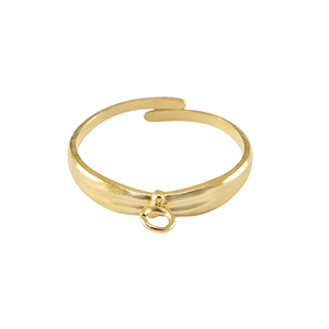 Stainless Steel - Rostfrei Stahl Ringe mit &Ouml;se Gold