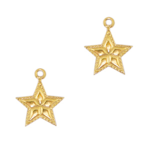 Anh&auml;nger aus Stainless Steel - Rostfreiem Stahl Star Gold