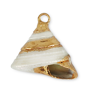 Anh&auml;nger Muschel Special Snail Pearl-gold