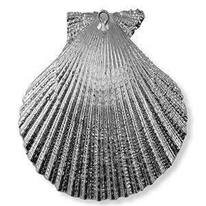 Anh&auml;nger Muschel Special Scallop Silver