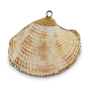 Anh&auml;nger Muschel Special Scallop Off white-gold