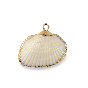Anh&auml;nger Muschel Special Scallop White-gold
