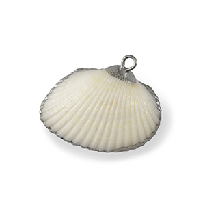 Anh&auml;nger Muschel Special Scallop White-silver