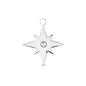 Anh&auml;nger aus Stainless Steel - Rostfreiem Stahl Star Silver