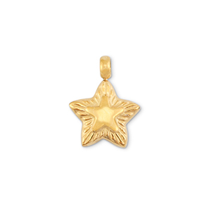 Anh&auml;nger aus Stainless Steel - Rostfreiem Stahl Star Gold