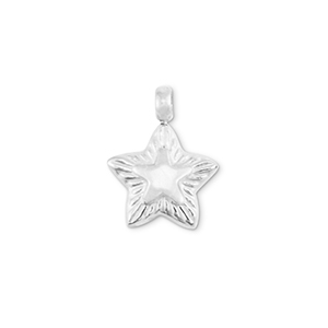 Anh&auml;nger aus Stainless Steel - Rostfreiem Stahl Star Silver