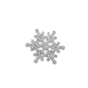 Broschen Snowflake Silver