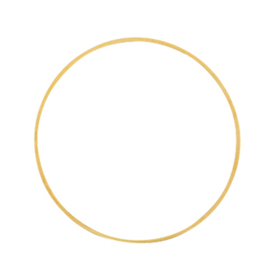 Zubeh&ouml;r Metall DQ Ring 25mm Gold (Nickelfrei)