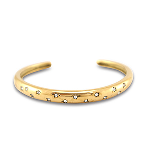 Stainless Steel - Rostfrei Stahl Armb&auml;nder Bangle Gold
