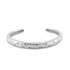 Stainless Steel - Rostfrei Stahl Armb&auml;nder Bangle Silver