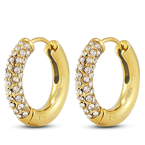 Stainless Steel - Rostfrei Stahl Ohrringe / Creolen Gold