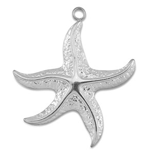 Anh&auml;nger aus Stainless Steel - Rostfreiem Stahl Starfish Silver