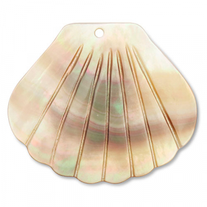 Anh&auml;nger Muschel Scallop White (Naturliche Farbe Muschel)-brown