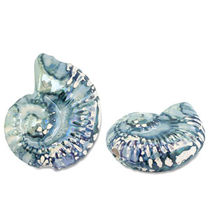 Perlen Griechische Keramik DQ Shell Green-blue-white