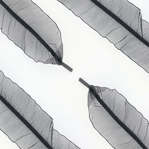 Musthave Schn&uuml;rsenkel Organza Black