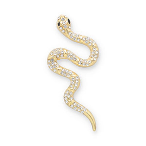 Broschen Snake Gold-transparent-black