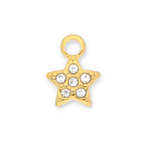 Anh&auml;nger aus Stainless Steel - Rostfreiem Stahl Star with Strass Gold-transparent