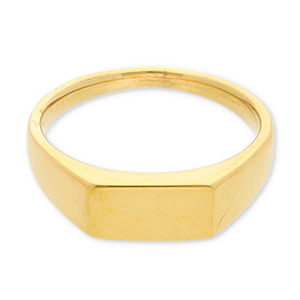Stainless Steel - Rostfrei Stahl Ringe with Rectangle Gold