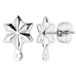 Zubeh&ouml;r aus Stainless Steel - Rostfreiem Stahl Ohrringe / Ohrstecker Star with Loop Silver