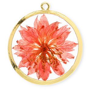Getrocknete Blumen Anh&auml;nger 34 mm Gold-living coral red