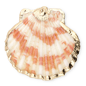 Anh&auml;nger Muschel Special Scallop Dark pink-gold
