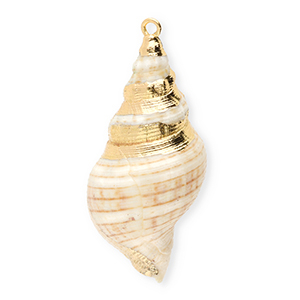 Anh&auml;nger Muschel Special Whelk Beige-gold