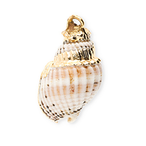 Anh&auml;nger Muschel Special Whelk Off white-gold
