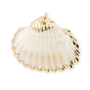 Anh&auml;nger Muschel Special Scallop White-gold