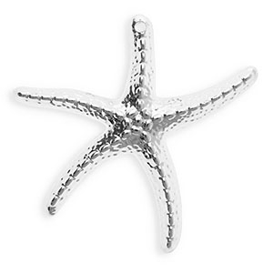 Anh&auml;nger Acryl Starfish Silver