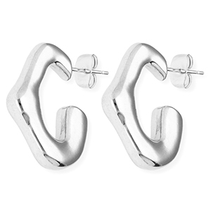 Stainless Steel - Rostfrei Stahl Ohrringe / Ohrstecker Irregular Silver