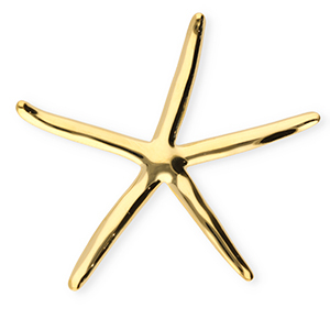 Statement Broschen aus Stainless Steel - Rostfreiem Stahl Starfish Gold