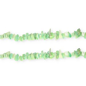 Perle Muschel Chipstone Multicolour green